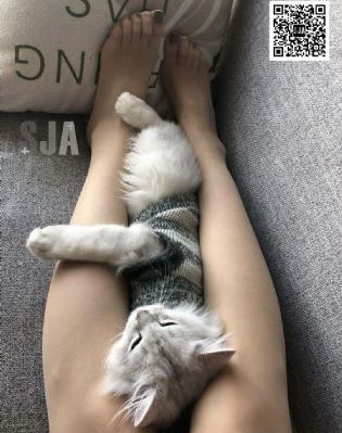 护理师