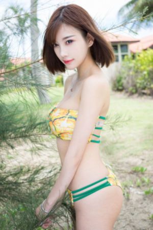 执笔在线观看全集免费