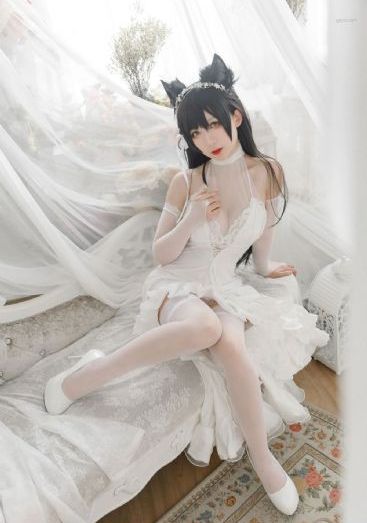浪漫樱花动漫在线观看免费高清